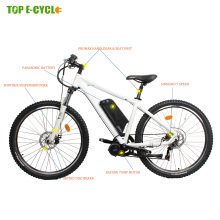 CE EN 15194 importieren Bafang mittlerer Antriebsmotor e Mountainbike Elektrofahrrad 48v 750w aus China